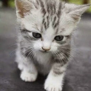 Meet your Posher, Darlene